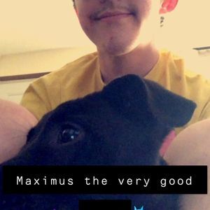 Meet your Posher, Colby